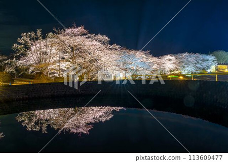 國立陸奧湖畔公園 夜間櫻花燈飾「陸奧花燈」 宮城縣川崎町 國立陸奧湖畔公園 夜間櫻花燈飾「陸奧花燈」 宮城縣川崎町 113609477