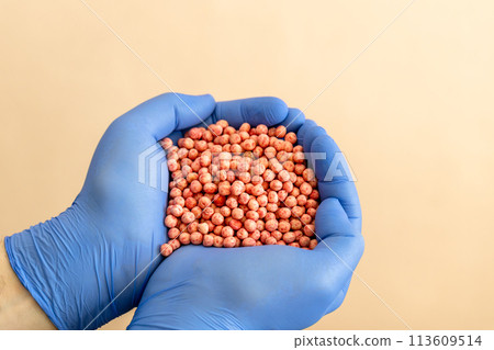 Close-up of a handful in the hands in the form of a heart etched soybean seeds 113609514