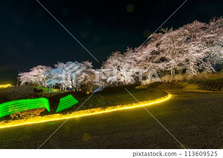 國立陸奧湖畔公園 夜間櫻花燈飾「陸奧花燈」 宮城縣川崎町 113609525