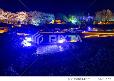 Michinoku Lakeside National Park: Nighttime cherry blossom illumination "Michinoku Flower Lights" Kawasaki Town, Miyagi Prefecture 113609566