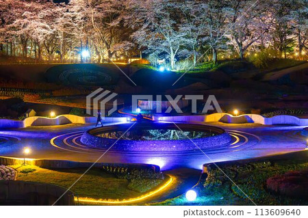 Michinoku Lakeside National Park: Nighttime cherry blossom illumination "Michinoku Flower Lights" Kawasaki Town, Miyagi Prefecture 113609640