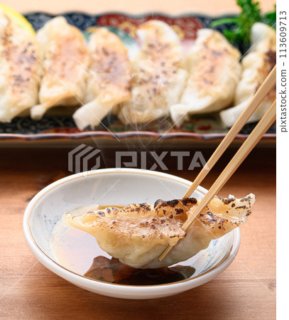 Gyoza Gyoza 113609713