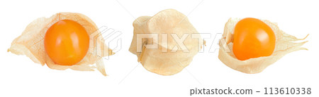 Cape gooseberry or physalis isolated on white background wit full depth of field 113610338