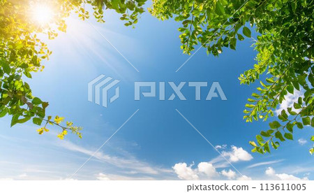 Frame of fresh green leaves and sunlight, space for text 113611005