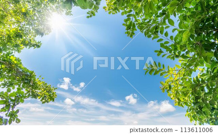 鮮綠葉與陽光的框架，人物空間 113611006