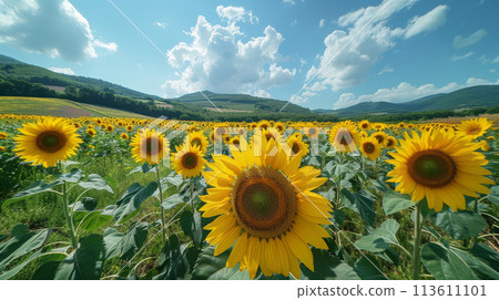 Generative ai illustration of sunflower field in the french country 113611101