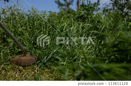 The trimmer mows tall, lush grass well on a clear summer day against a blue sky. A trimmer cuts the tall grass on the lawn in front of the summer's house. Lawn care concept. The trimmer mows tall, lush grass well on a clear summer day against a blue sky. A trimmer cuts the tall grass on the lawn in front of the summer's house. Lawn care concept. 113611128