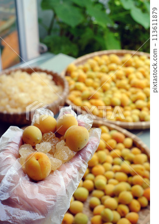 Raw material for making delicious beverage from apricot or Japanese plum with sugar, seasonal fruit that good for health, nutrition, rich vitamin 113611879