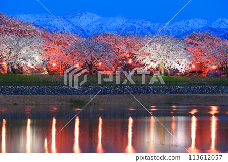 [富山縣]旭船川與北阿爾卑斯山對稱盛開的夜櫻 113612057