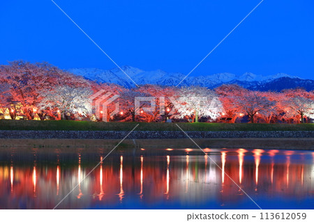 [富山縣]旭船川與北阿爾卑斯山對稱盛開的夜櫻 113612059