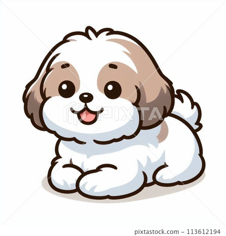 White sitting Shih Tzu dog 113612194