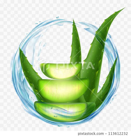 Aloe Vera plant with splashes of juice 113612232