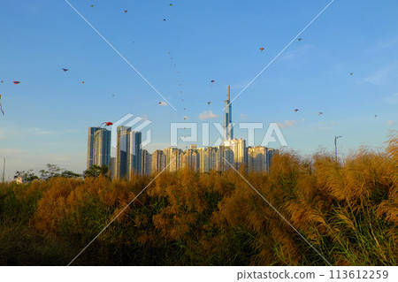 Beautiful scene at Ho Chi Minh city countryside at evening, rela Beautiful scene at Ho Chi Minh city countryside at evening, rela 113612259
