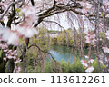 垂枝櫻花池（香川縣） 113612261