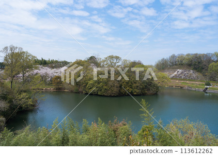 Spring: Reservoir (Takamatsu City, Kagawa Prefecture) Spring: Reservoir (Takamatsu City, Kagawa Prefecture) 113612262