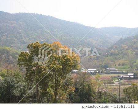 2004年，香川縣宇多津，風景，第32部分 113613111
