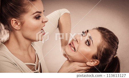 Two agressive women having argue fight 113613127