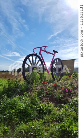 一輛紅色的大腳踏車在地上奔跑 113613131