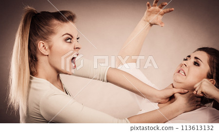 Two agressive women having argue fight 113613132
