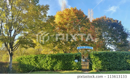 公園裡的露營地，樹葉已經開始變秋 113613133