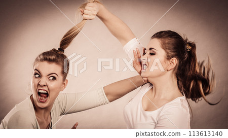 Two agressive women having argue fight 113613140