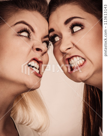 Two agressive women having argue fight 113613143