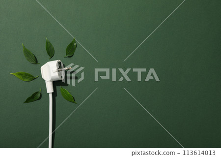 White electric cable with fresh green leaves White electric cable with fresh green leaves 113614013