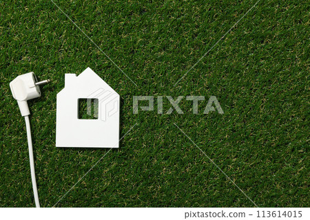 Decorative house with electric cable on the grass 113614015