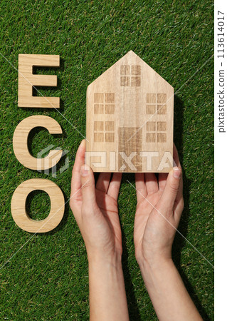 A decorative house on the grass, the concept of an eco house A decorative house on the grass, the concept of an eco house 113614017