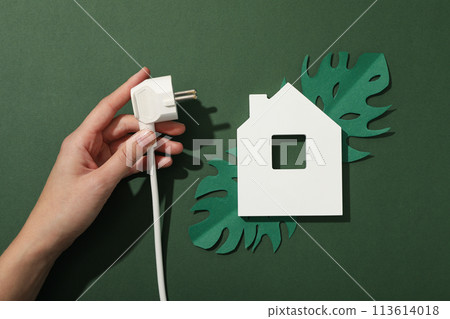 White decorative house with white electric cable White decorative house with white electric cable 113614018
