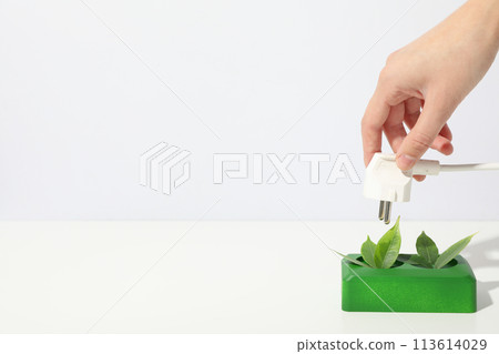 Eco house concept, green rosette with leaves 113614029