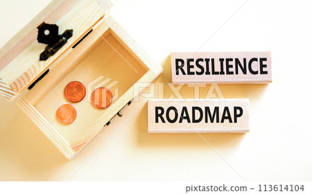 Resilience roadmap symbol. Concept word Resilience roadmap typed on wooden blocks. Beautiful white table white background. Wooden chest with coins. Business and resilience roadmap concept. Copy space. 113614104