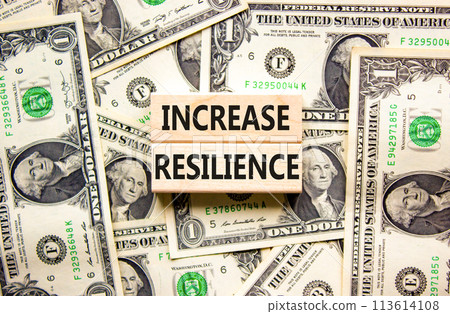 Increase resilience symbol. Concept word Increase resilience typed on wooden blocks. Beautiful background from dollar bills. Business and increase resilience concept. Copy space. Increase resilience symbol. Concept word Increase resilience typed on wooden blocks. Beautiful background from dollar bills. Business and increase resilience concept. Copy space. 113614108