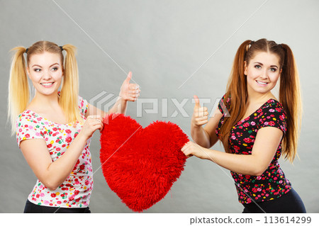 Happy two women holding heart shaped pillow 113614299