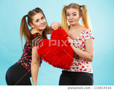 Happy two women holding heart shaped pillow 113614316