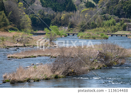 Clear Kizugawa River in Kyoto, Minamiyamashiro Village, Kyoto Prefecture 113614488