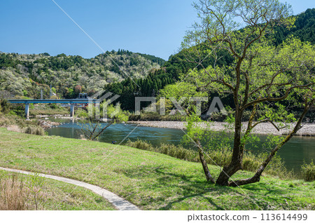 京都府南山城村京都清澈的木津川 113614499