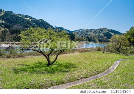 Clear Kizugawa River in Kyoto, Minamiyamashiro Village, Kyoto Prefecture 113614504