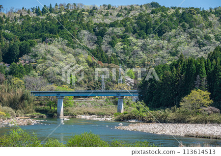 Clear Kizugawa River in Kyoto, Minamiyamashiro Village, Kyoto Prefecture 113614513