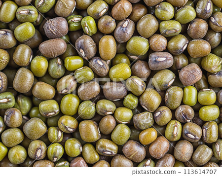 smooth background consisting of beans of mung bean soybeans. Green and brown grains are evenly distributed along the surface. Horizontal orientation. top view, flat lay smooth background consisting of beans of mung bean soybeans. Green and brown grains are evenly distributed along the surface. Horizontal orientation. top view, flat lay 113614707