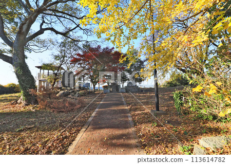 Yatsururugi Shrine Upper Shrine and observation deck at the summit of Mount Tsurugidake in Kurate Town, Fukuoka Prefecture 113614782