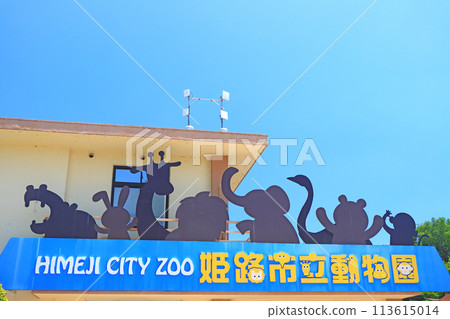 兵庫縣姬路市姬路市動物園風景 兵庫縣姬路市姬路市動物園風景 113615014