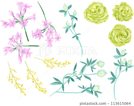Chic floral hand-painted watercolor 113615064