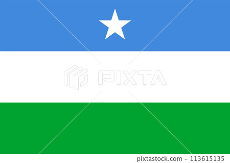 Flag of Puntland State (Federal Republic of Somalia) Puntland State of Somalia, horizontal tricolor of blue, white and green with a white star at the top 113615135
