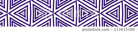 Geometric seamless pattern. Purple symmetrical kaleidoscope background. Hand drawn geometric seamless design. immaculate decorative design element for background. 113615180