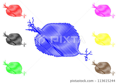Lake Beloye (Russia, Russian Federation, Vologda Oblast) map vector illustration, scribble sketch White Lake map Lake Beloye (Russia, Russian Federation, Vologda Oblast) map vector illustration, scribble sketch White Lake map 113615244