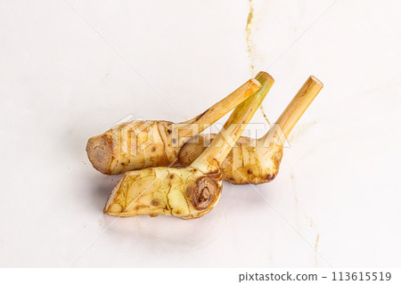 Raw galangal root seasonong aroma 113615519