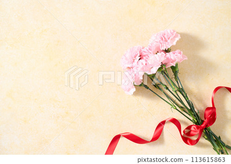 Carnation bouquets Carnation bouquets 113615863