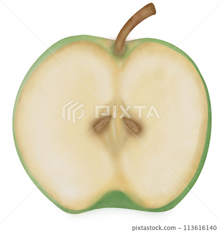 Apple hand dranw watercolor isolated . Fresh summer fruit sweet. Realistic apple set illustration	 113616140