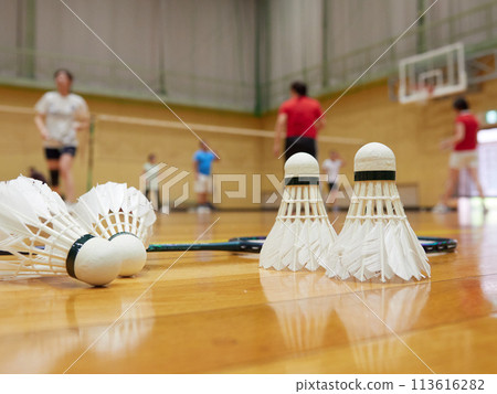 Badminton shuttlecock on gym floor with people exercising Badminton shuttlecock on gym floor with people exercising 113616282